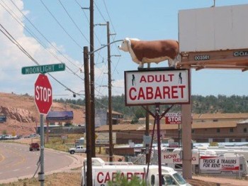 Adult Cow Cabaret