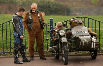 Bear Rider