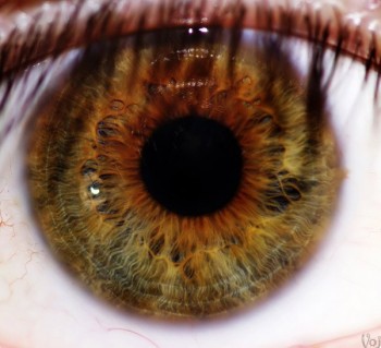 Eyes