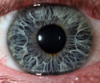 Eyes