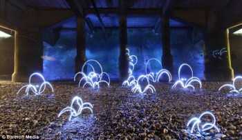 Light Sculpture