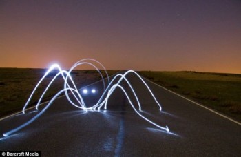 Light Sculpture