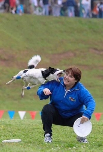 Dog Bite