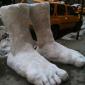 Two Feet of Snow