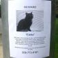 Missing - Reward