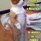 Zombiecat