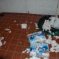 Bad Dog