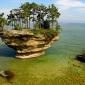 Forest Island