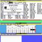 Windows 1.01