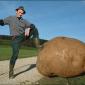 Big Potato