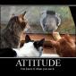 Motivation