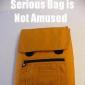 Serious Bag