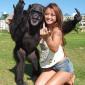 Flippin' The Chimp