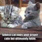 Atheist Cat
