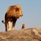 Lion King