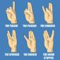 Shocker Diagram