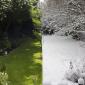 Summer vs Winter