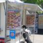 One Hot Dog Please