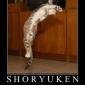 Shoryuken