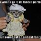 Fancee Party