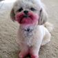 Tasty Lipstick