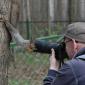 Nosy Squirrel