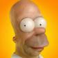 Real Homer