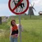 No Don Quixote's