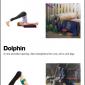 Hobo Yoga