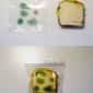 Moldy Sanwich