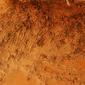 Diamond Mining in Sierra Leone