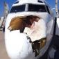 Birds and Planes