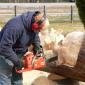 Wood Carved Statues