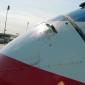 Birds and Planes