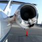 Birds and Planes