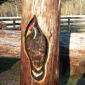 Wood Carved Statues