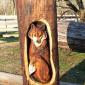 Wood Carved Statues
