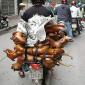 Improvised Transport