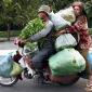 Improvised Transport