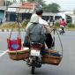 Improvised Transport