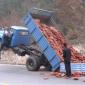Brick Truck Accident
