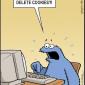 Delete Cookies