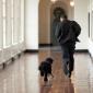 Obama's New Dog