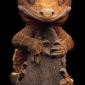 Smiling Lizard