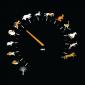 Icon Speedometer