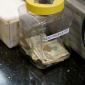 Clever Tipping Jar