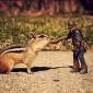 Chewbacca Feeds A Chipmunk