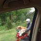 Motorcycle Dog
