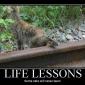 Life Lessons