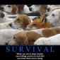 Survival